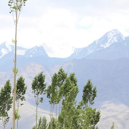 Hotel Kasdar Ladakh Leh Zewnętrze zdjęcie