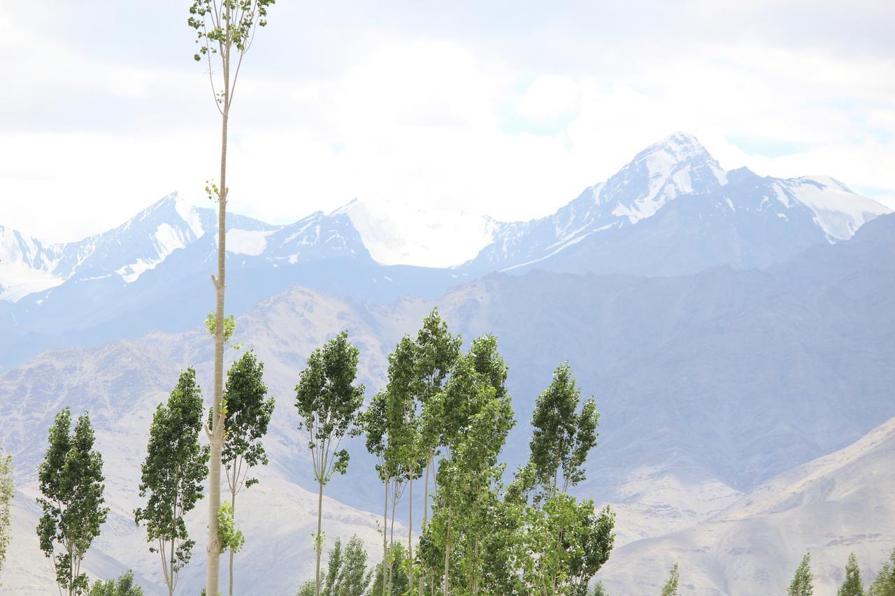 Hotel Kasdar Ladakh Leh Zewnętrze zdjęcie